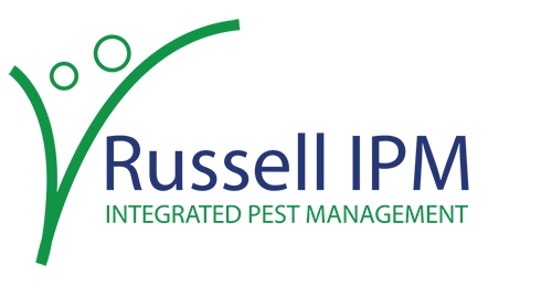 Russel IPM Ltd